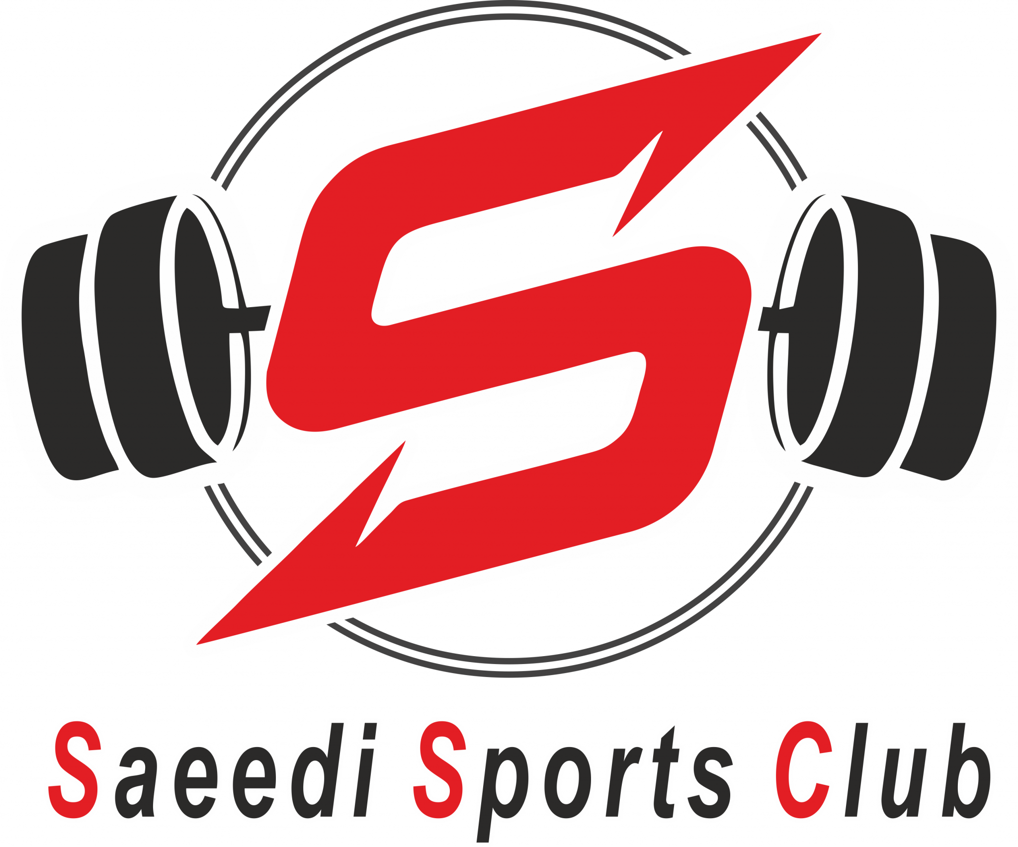 saeedi-logo1